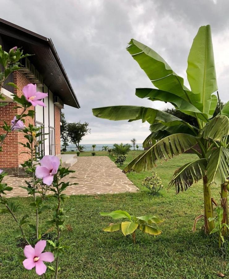 Injir Village Hotel Gudauta Luaran gambar